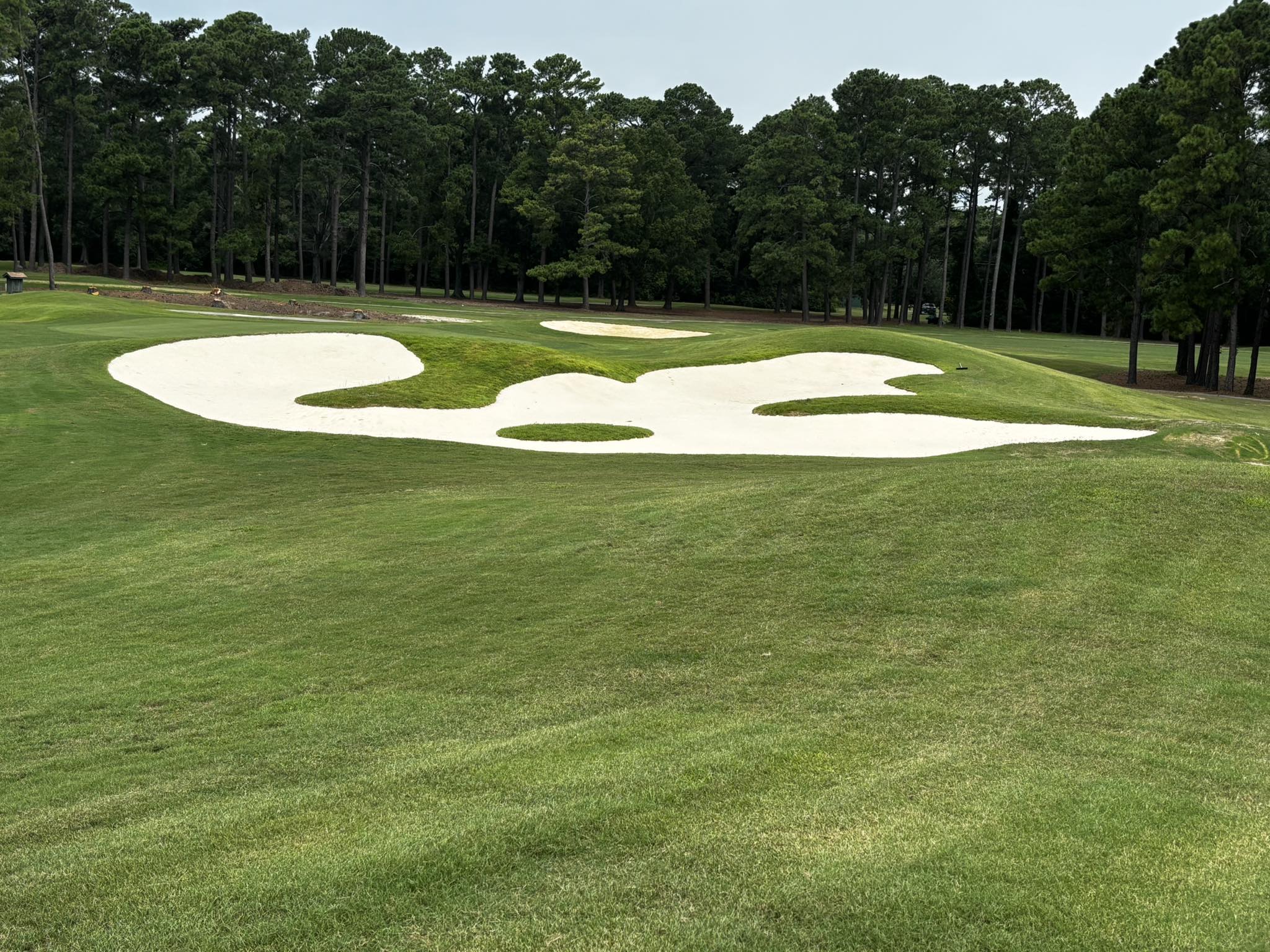 Thing To Do Golf Courses